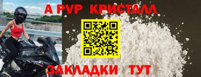 стафф Бийск