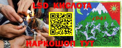 стафф Бийск