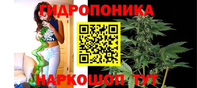 кокс Берёзовский