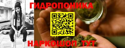 стафф Бийск