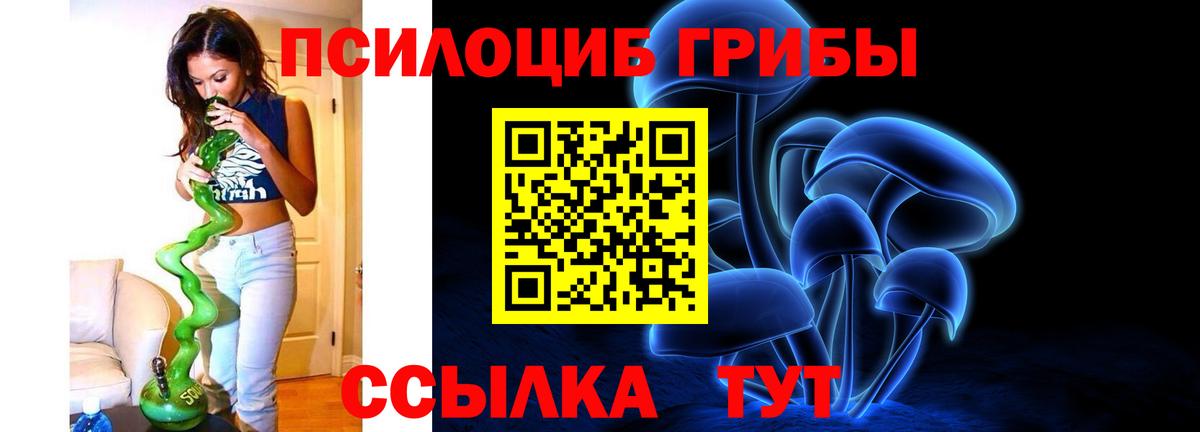 Псилоцибиновые грибы прущие грибы  Псилоцибиновые грибы мицелий  магазин    Грязи 