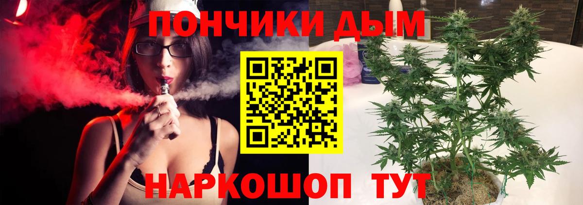 Каннабис индика  Грязи  Канабис сатива 